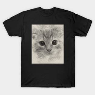 Cutie Cat ArtWork T-Shirt